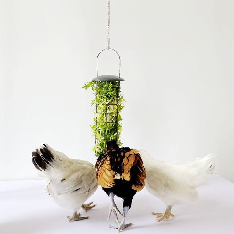 Kycklingmatare korg vegetabilisk frukt veggie hängande coop duva kyckling tupp höna kul födosaker metall behandla låda matning verktyg