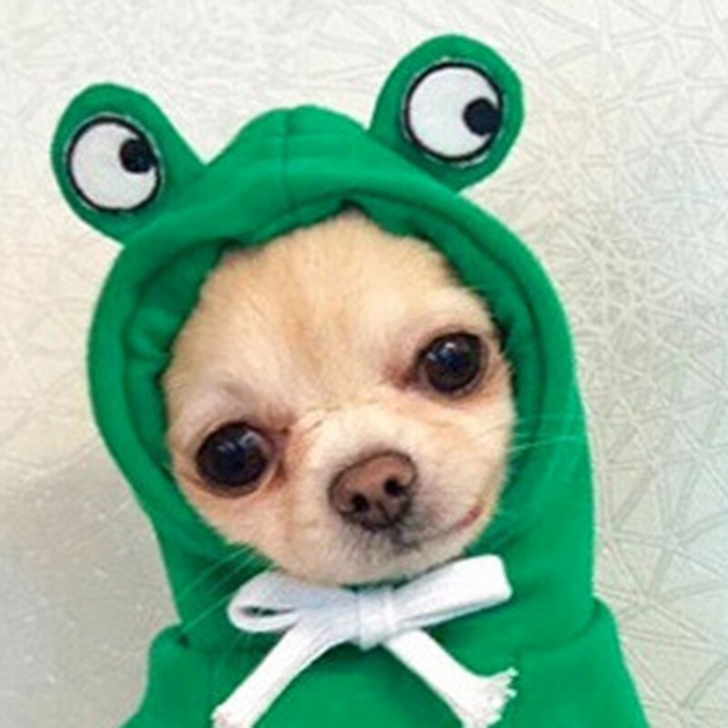 Medium Kleine Grote Herfst Winter Hoodies Kikker Ropa Para Perro Hond Kleding Twee-Legged Hooded Outfits Groen Fleece Kleding