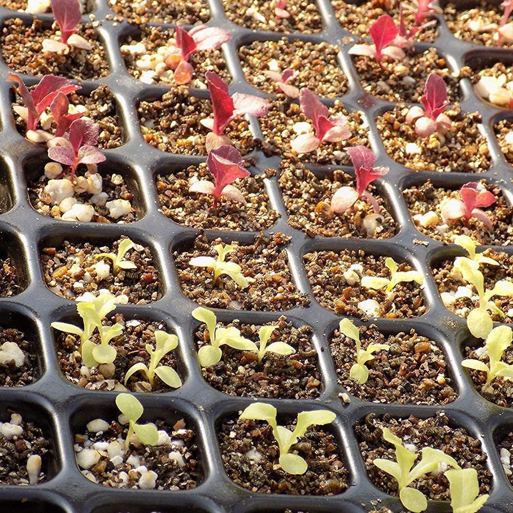 Plateau de démarrage de semis en plastique 105/128 trous, Pot de fleur de jardin, boîte de pépinière, bouchon de plantation, fourniture de plateau de croissance, Cont A4E3