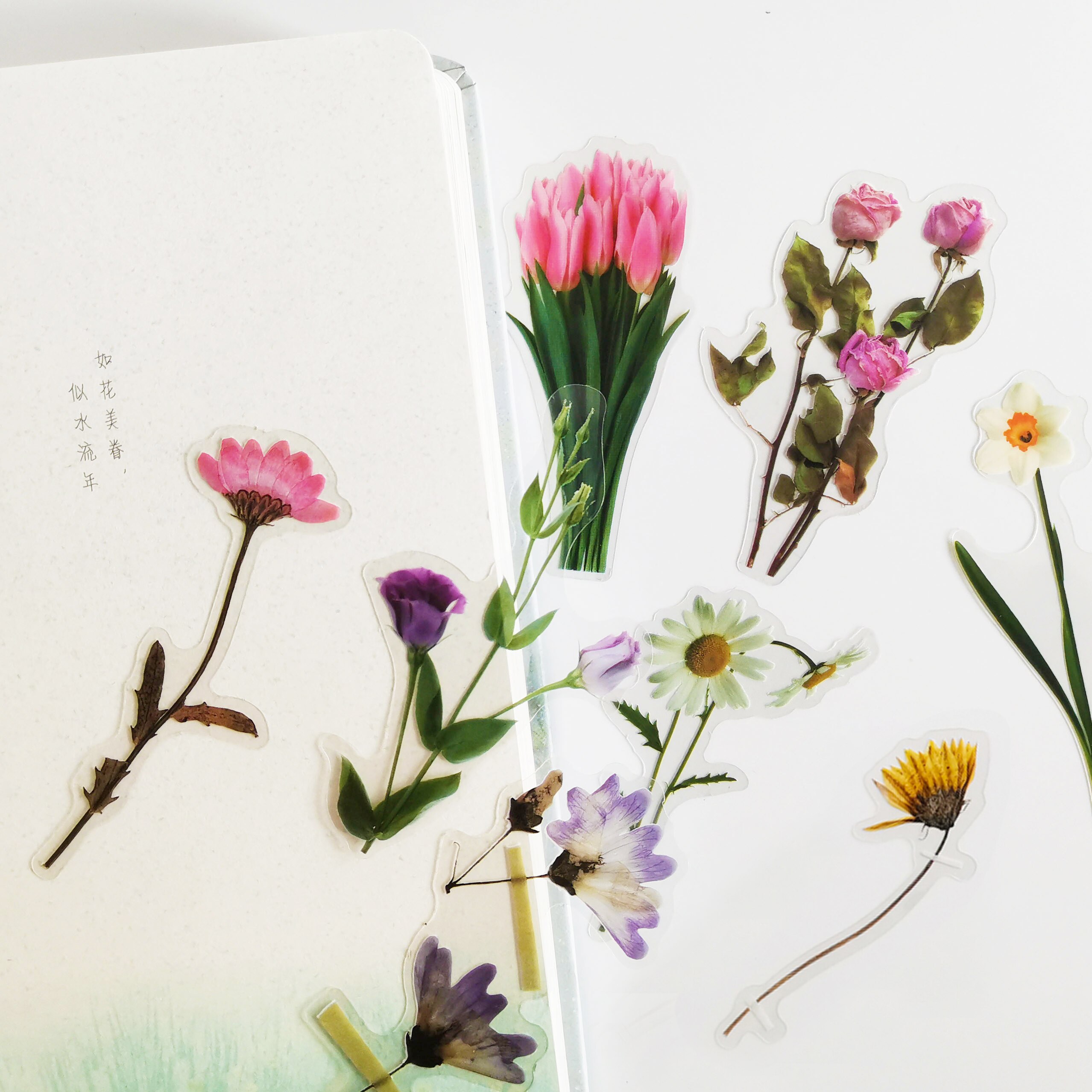 40pcs Designs Cute Flower Stickers PET Decorative Scrapbooking Stickers Sticker Plant Decoration Korean Stickers Stationery