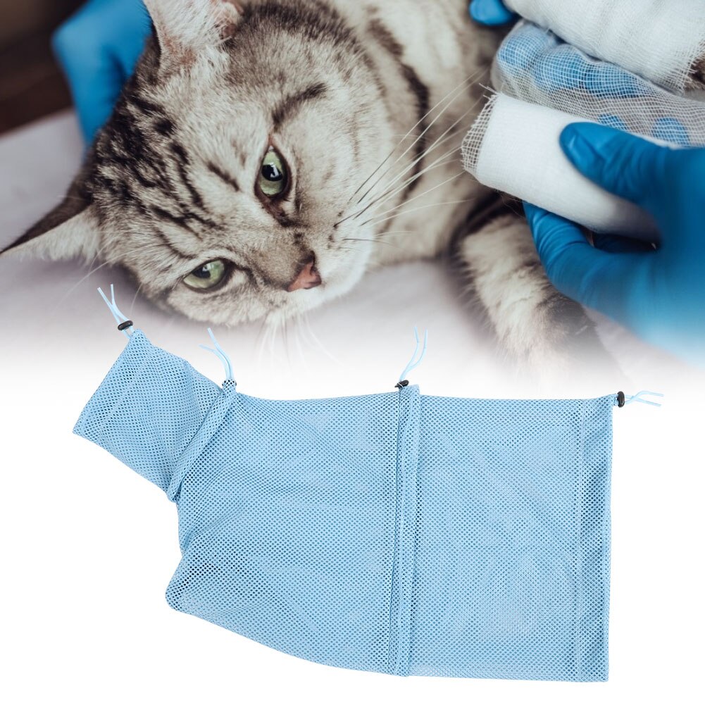 Filet réglable pour chat, grattage, retenue, morsure, garniture pour ongles, bain, lavage, toilettage, bleu, adapté à la fixation des chats, Rose, rouge