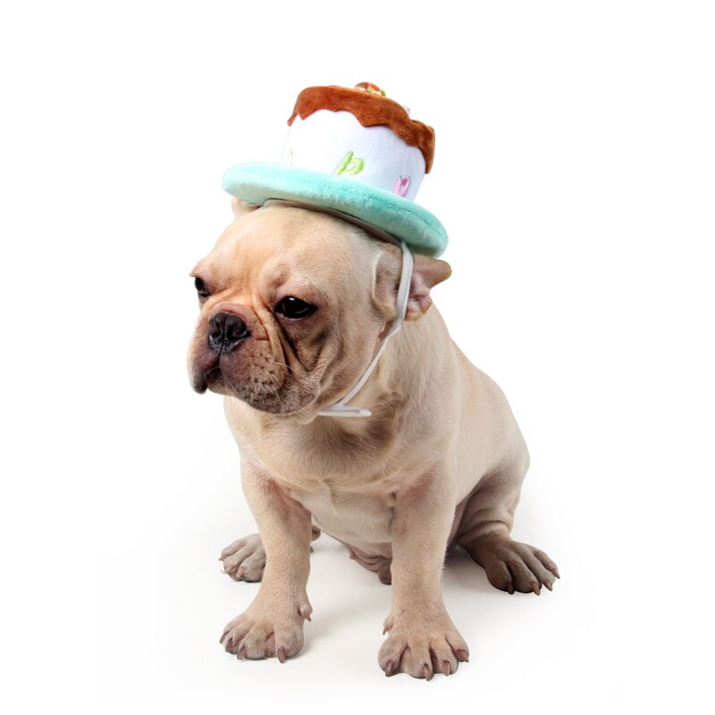Hund fødselsdag kasket hat med kage lys fest kostume kat hovedbeklædning frugt kæledyr hat
