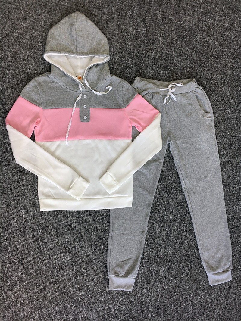 Women Winter sport Tracksuit Sets Lady casual Autumn Long Sleeve Thicken Hooded Sweatshirts 2 Piece Set Female patchwork Suits: Pink / S