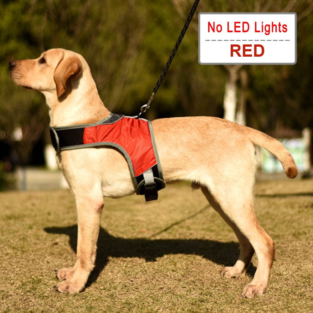Valoisa led  k9 koiran valjaat koiran kaulapanta turvaheijastin valjaat liivi huskypaimen labradorin keskikokoisille koirille lemmikkitarvikkeet: Viininpunainen / L
