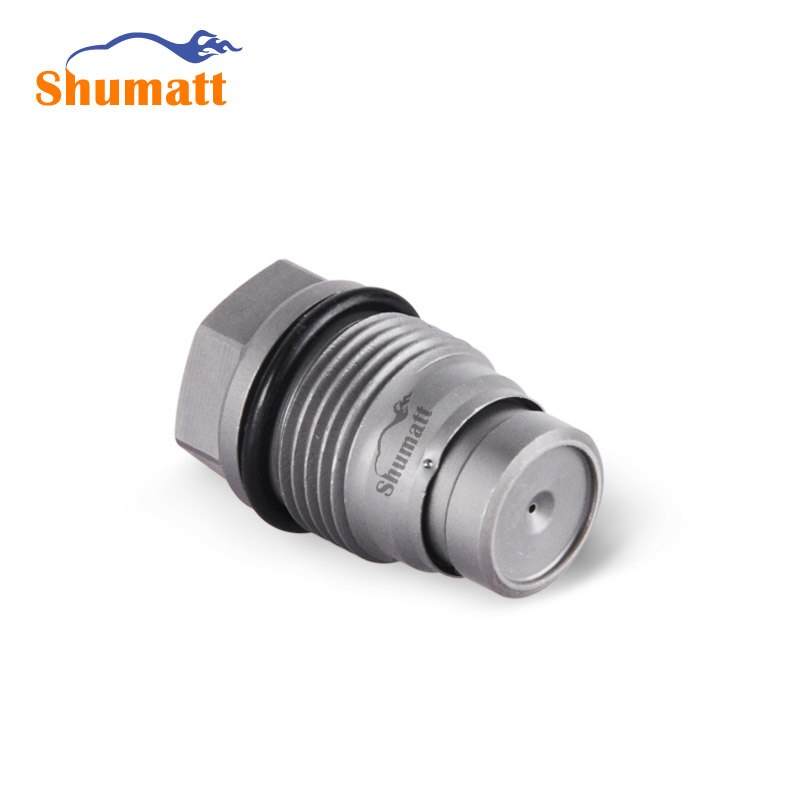 China Made Common Rail Pressure Relief Valve Limit Valve 11100010013
