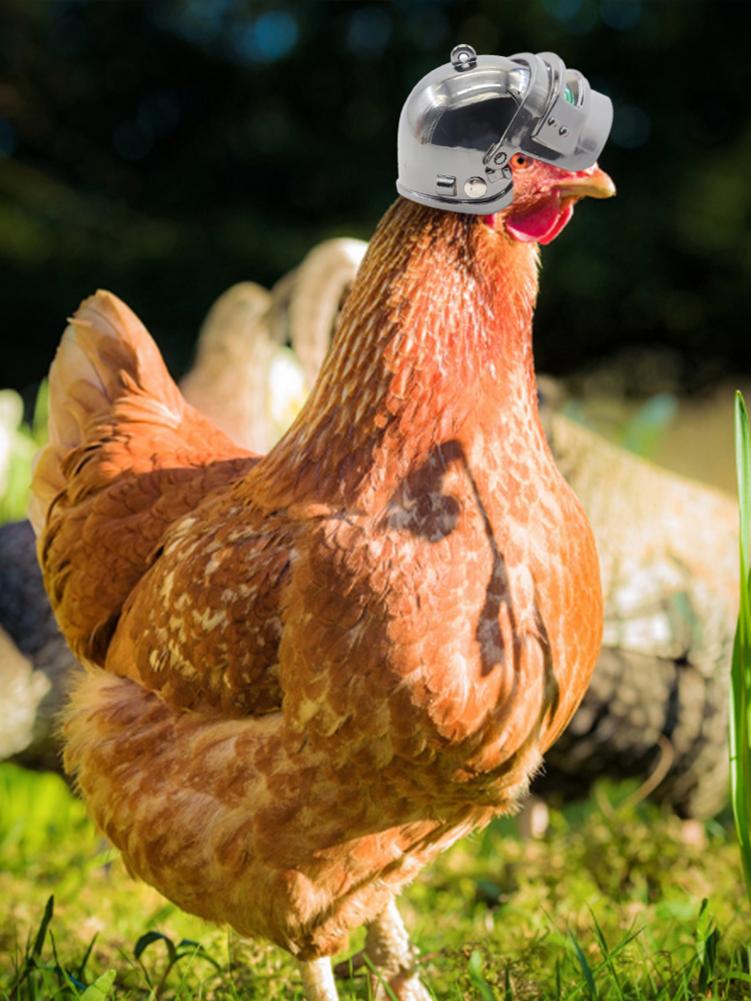 Kæledyr hjelm sjov kylling hjelm lille kæledyr hård hat hovedbeskyttelse kompakt kylling høne hård hat kæledyrsforsyning