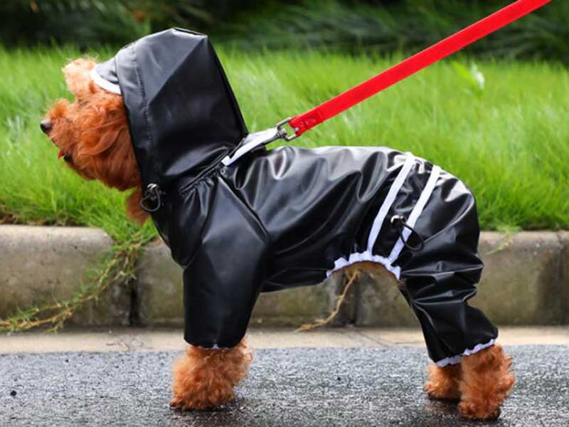 Hunde regnfrakk hette vanntett jakke kjæledyr jumpsuit gjennomsiktige klær til små mellomstore hunder bamse chihuahua doggyzstyle: Svart / S