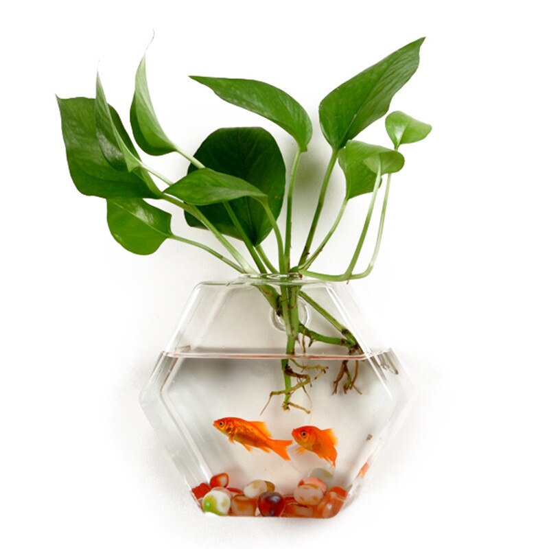 Wall Hanging Fish Bowl Glass Wall-mounted Plant Pot Fish Tank Decoration Planter