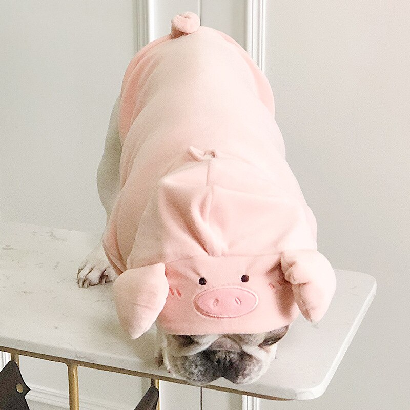 Carlin mignon cochon forme velours drôle Costume chien vêtements pour petits chiens animaux vêtements Yorkshire carlin bouledogue français sweats à capuche S-L
