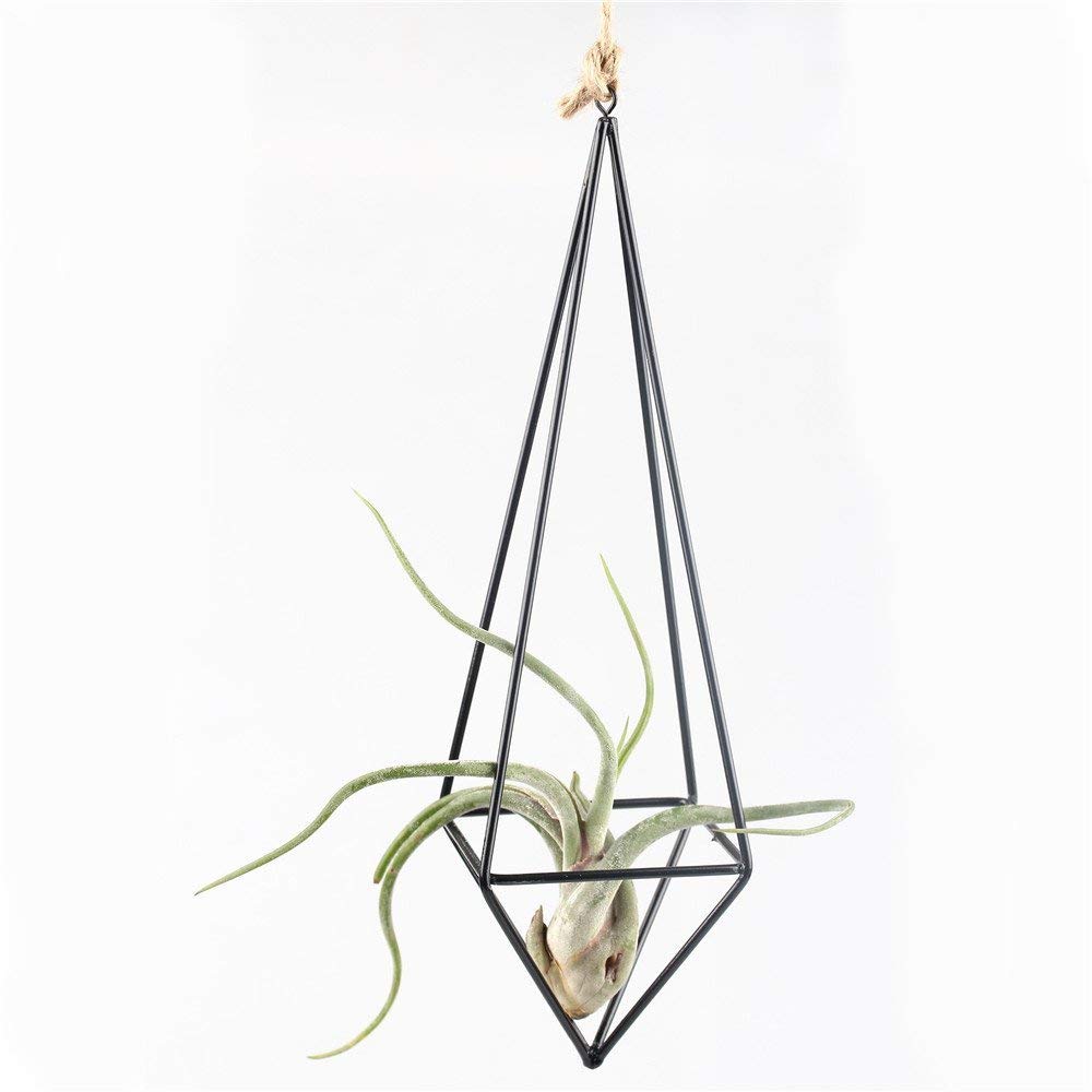 Modern Rustic Art Style Freestanding Hanging iron Tillandsia Air Plant Rack Holder Black 10.2 Inches Height Quadrilateral Pyra
