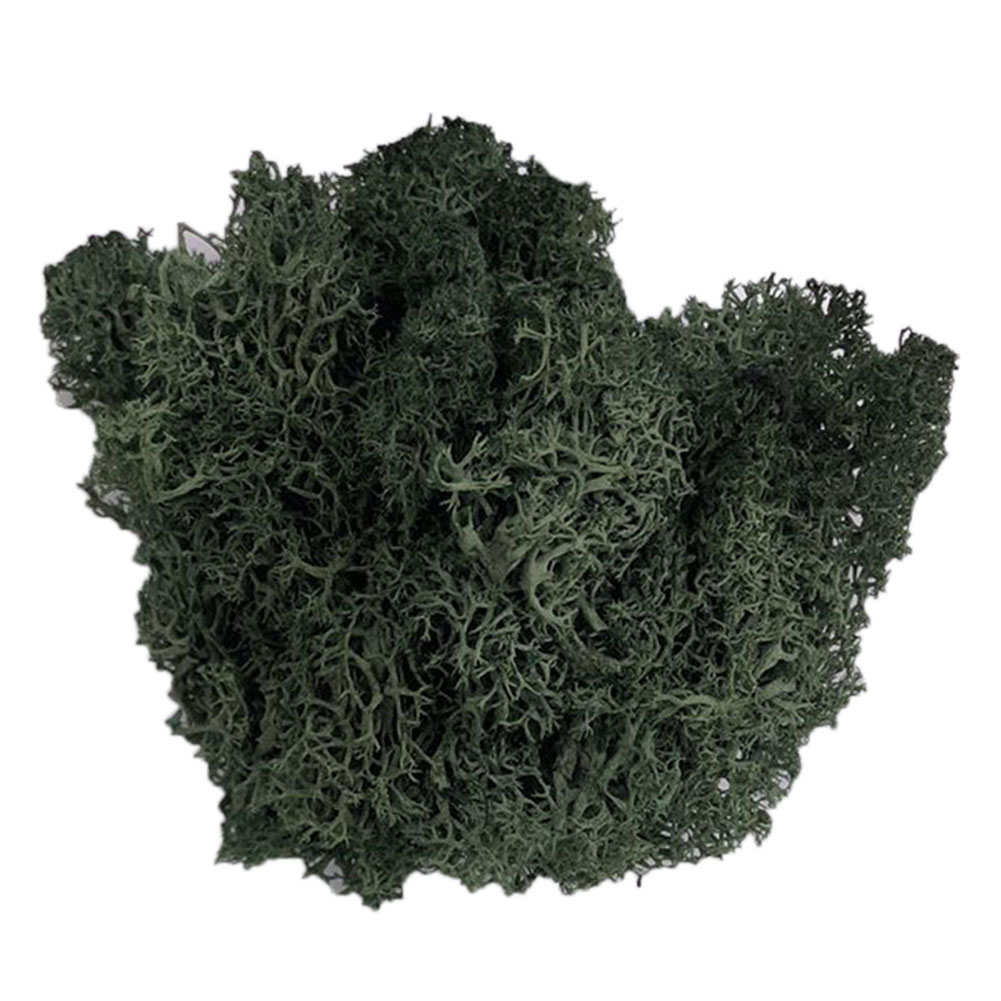 Kunstig plante bevart blomst reinsdyr mose håndverk hage hjemmeinnredning