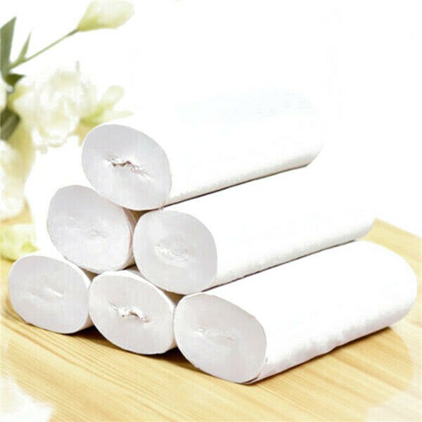 10 Rolls Toilet Paper Bulk Roll Bath Tissue Bathroom Pulp Soft 3 Ply Toilet Tissue