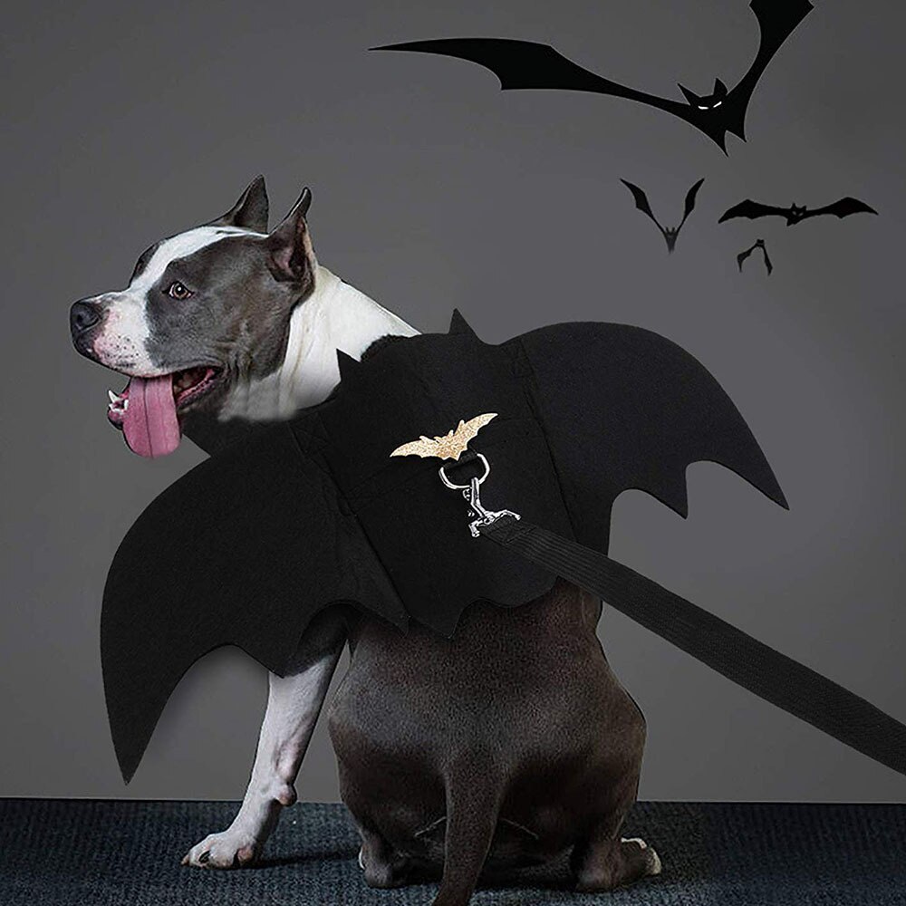 Halloween Hond Kostuums Vleermuis Vleugels Vampire Zwart Leuke Fancy Dress Up Halloween Pet Hond Kat Kostuum