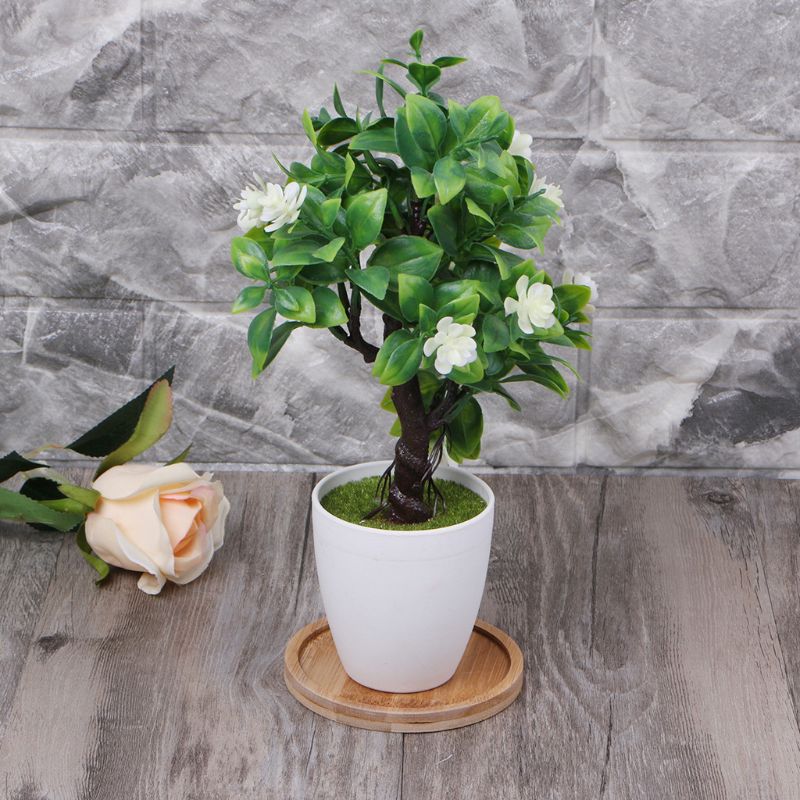 Rond bambou bois soucoupe plante plateau Mini plante Pot de fleur support faveur Succulent Pot plateau Simple maison balcon déco