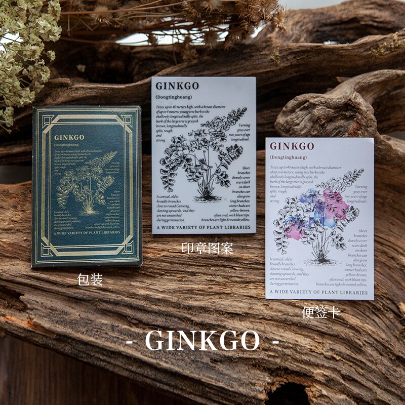 Retro Plants Specimens Background Stamp Journal Butterfly Rubber Stamp for scrapbooking stationery DIY craft standard stamp: 3