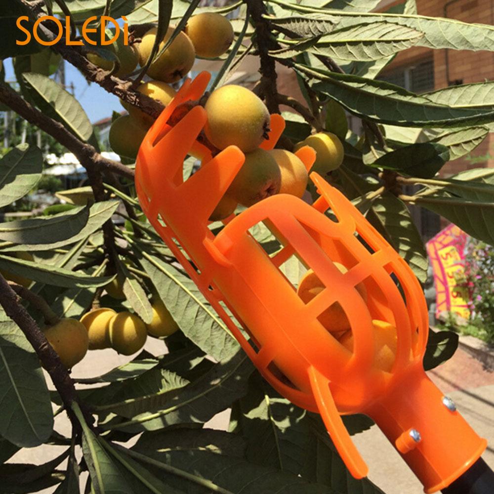 Fruit Catcher Praktische Oranje Picking Veiligheid PP Kiwi Plastic Fruitplukker Perzik Peer