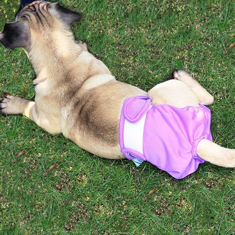 Pet Physiological Pants for Small Large Dog Puppy Washable Durable Doggie Short Diaper Soft Leak-proof Pant Pet Underwear