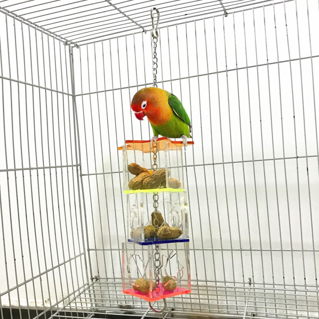 Transparent 3 Layer Parrots Food Feeder Hanging Parrot Nibbled Toys Feeder Pets Birds Forager Feeding Boxes Cage Birds Supplies