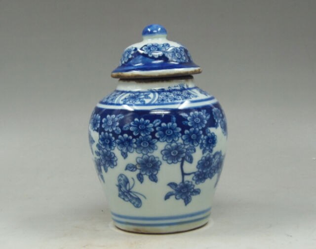 Chinese oude Handgemaakte schilderij bloemen blauw en wit porselein theebus pot 5