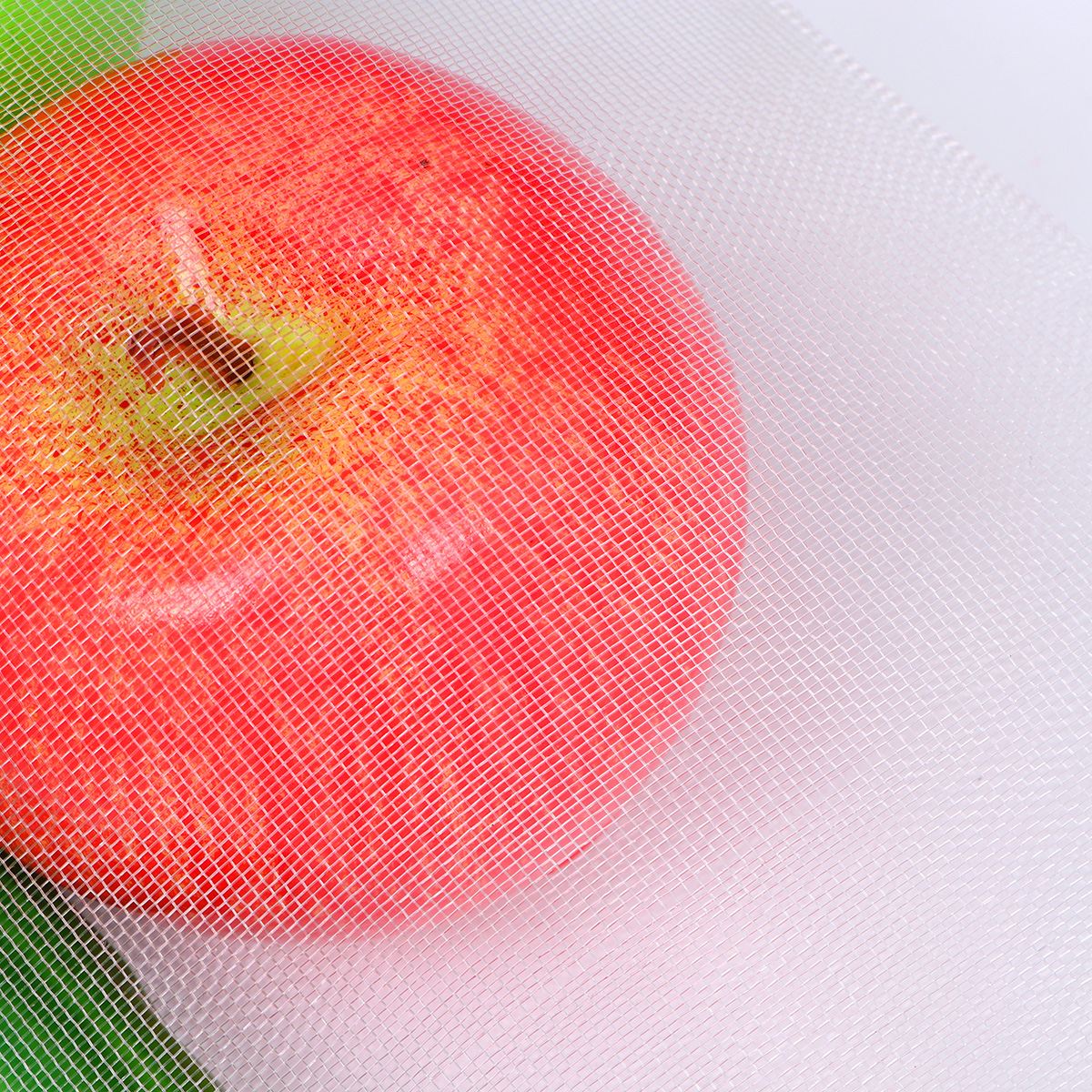 100pcs Nylon Seeds Soaking Germination Fruit Mesh Bags Drawstring Reusable Protection Bag Insect-Proof Net Mesh Bags