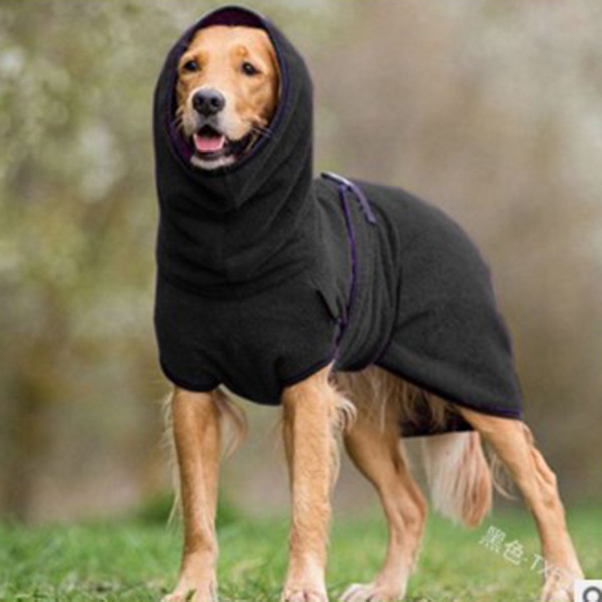 Generic Dog Winter Coat for Whippet, Greyhound Cosy Fleece Jumper, Jacket Lurcher and Clothe with Warm Lining, Adjustable Band M: M / black