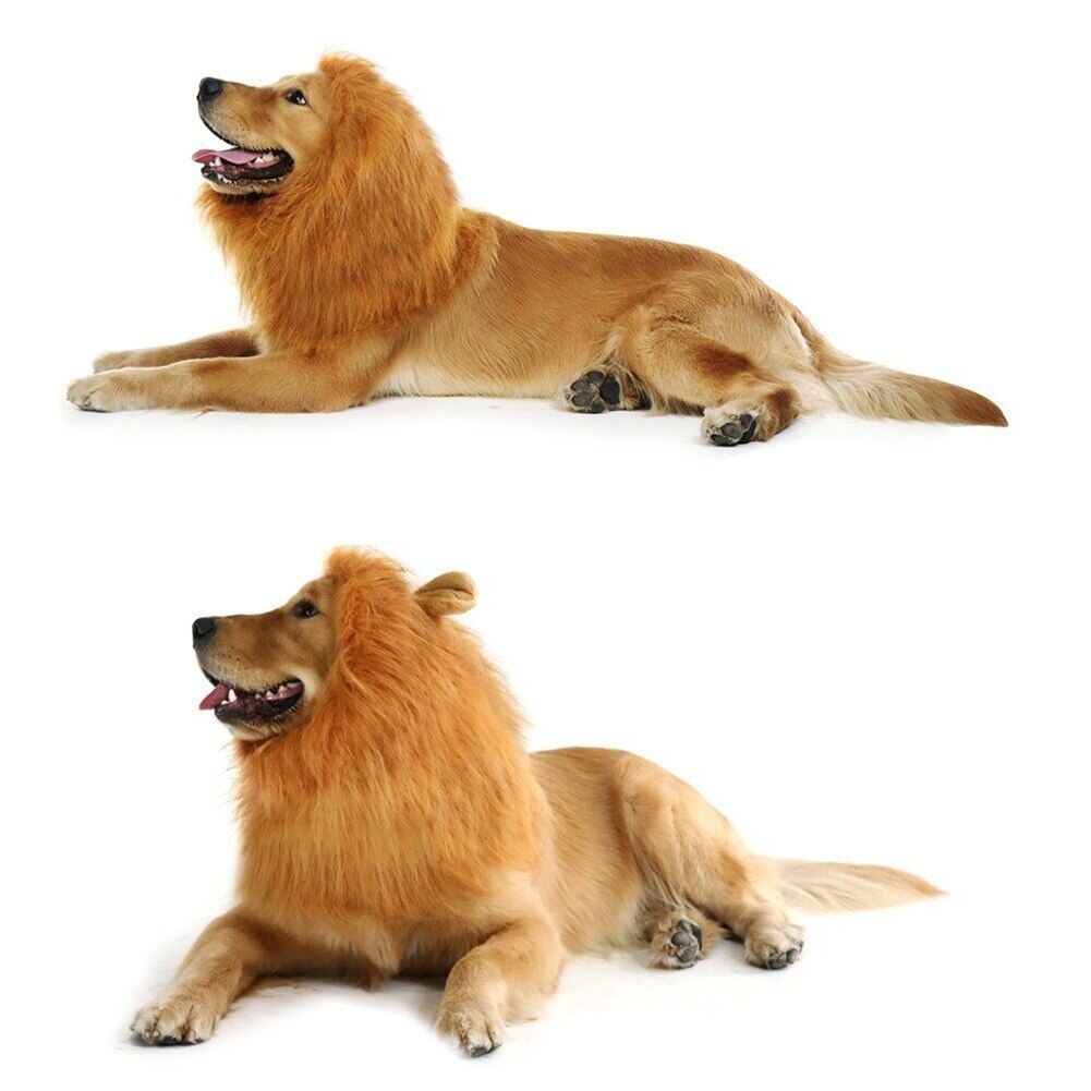 Pet Costume Lion Mane Wig with/without Ears for Large Dog Halloween Clothes Fancy Dress up DIN889