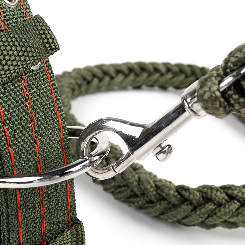 Laisse pour chien en Nylon épais, Super solide, vert armée, Double rangée, collier réglable pour chien, Pitbull, moyen et grand, L/XL
