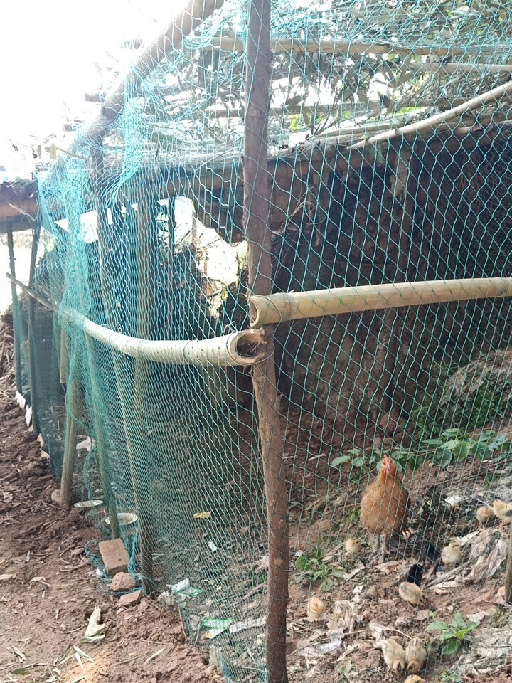 Haven hegn net-heavy duty plast hegn netting hjorte barriere hegn for at forhindre hund kat kanin fra din græsplæne og gård