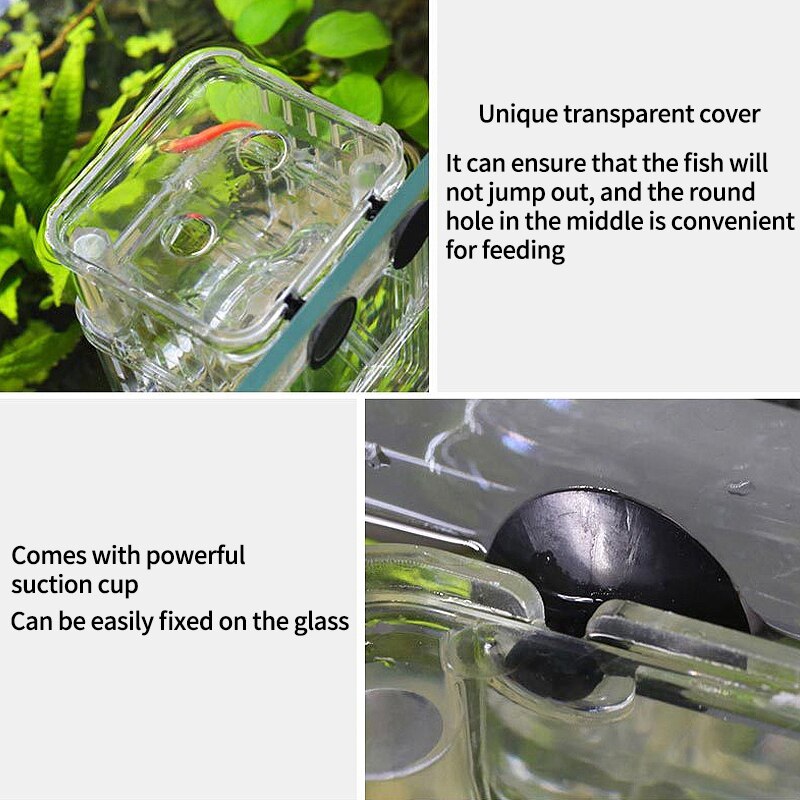 Ecological Aquarium Fish Tank Double-Deck Fish Breeding Isolation Box Durable Acrylic Fish Tank Aquarium Accessories