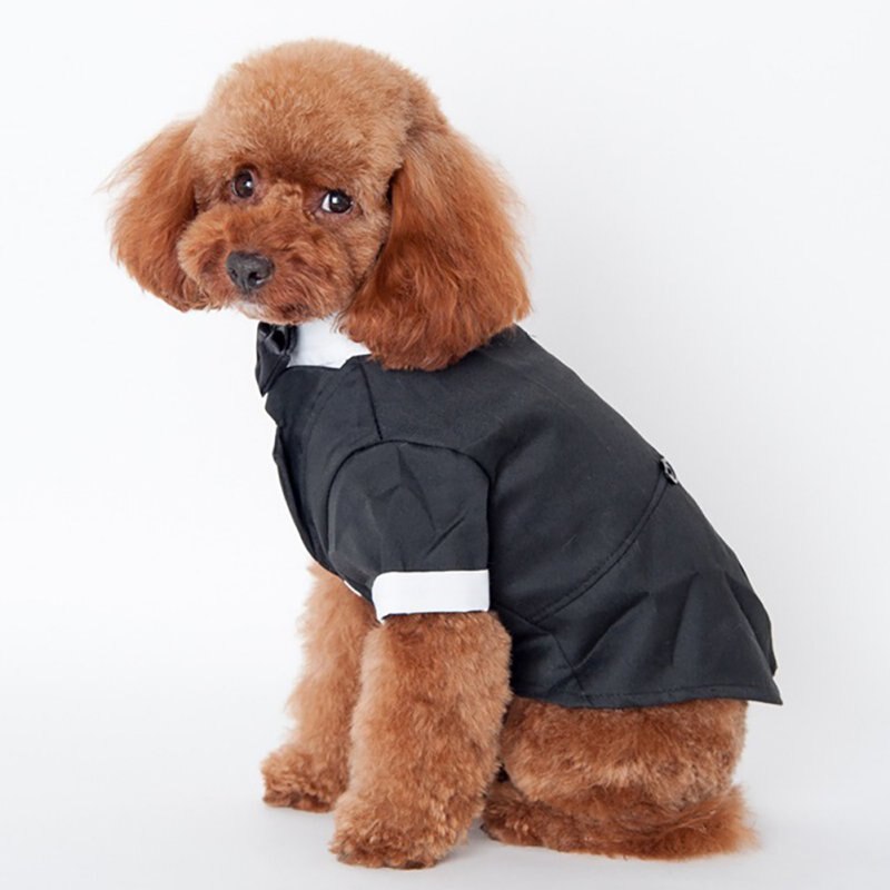 Pug Ropa Camisa Formal de esmoquin para perro, traje para P... – Grandado