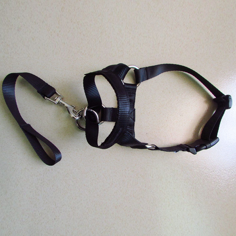 Collar de cabeza de entrenamiento con cuello Halter para perro, arnés de poliéster con cuello Halter, , ideal para cualquier temporada: Negro / S