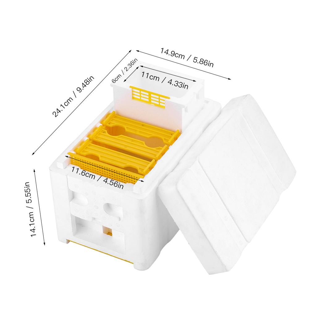 Beekeeping Beehive Hive Box Harvest Queen Pollination Beekeeping For Beekeeping mating box Queen Reserve Beekeeping Tool