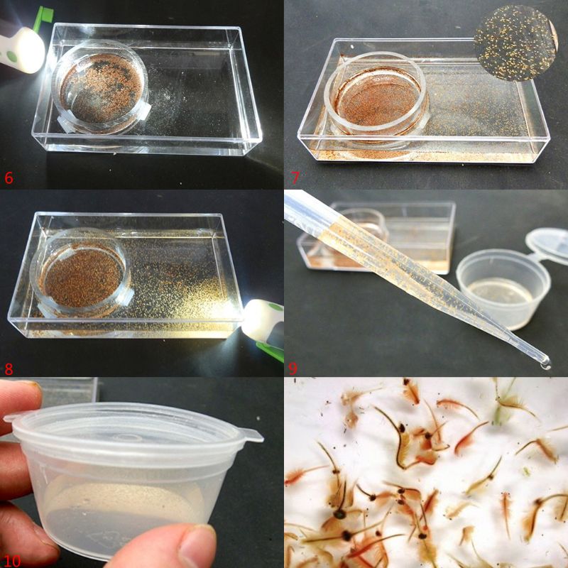 OOTDTY 1 Set Aquarium Shrimp Incubator Kit Brine Shrimp Egg DIY Hatch Tool Hatchery