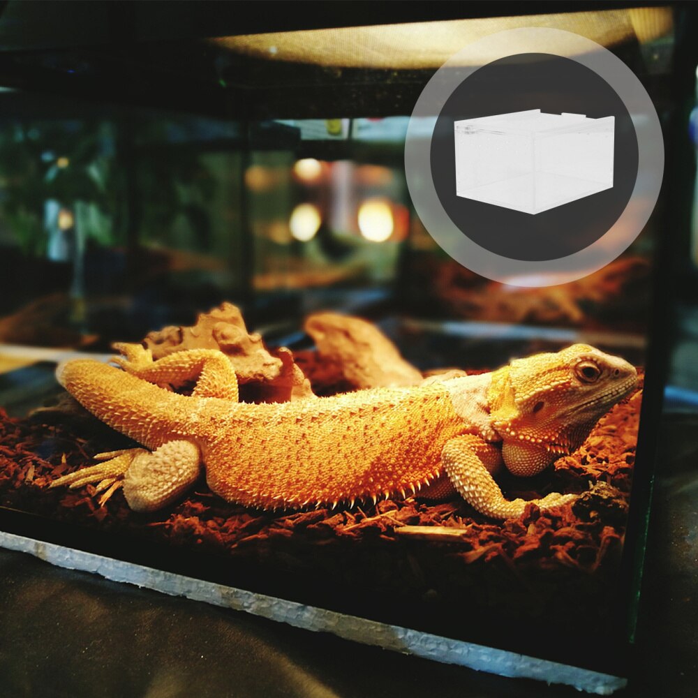 Climbing Pet Feeding Box Insect Spider Small Pet Aquarium Breeding Box: Transparent