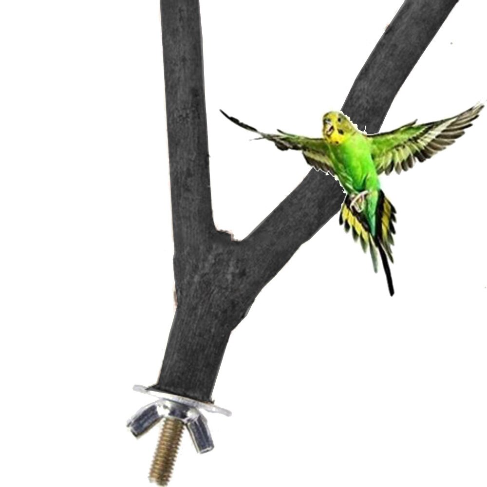 Station de fourchette d'arbre en bois pour perroquet, 1 pièce, barre de branche de Hamster à deux Points, Dragon chat écureuil jouet fournitures de rongeur