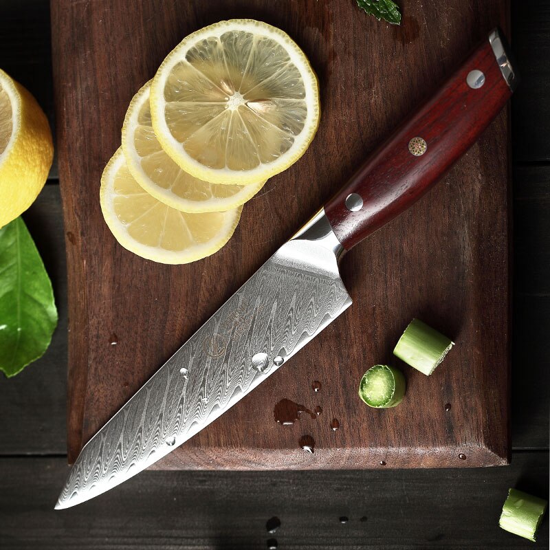 YARENH – couteau utilitaire de 5 pouces, 67 couches d'acier damas à haute teneur en carbone, couteaux de cuisine universels de , meilleur de Chef