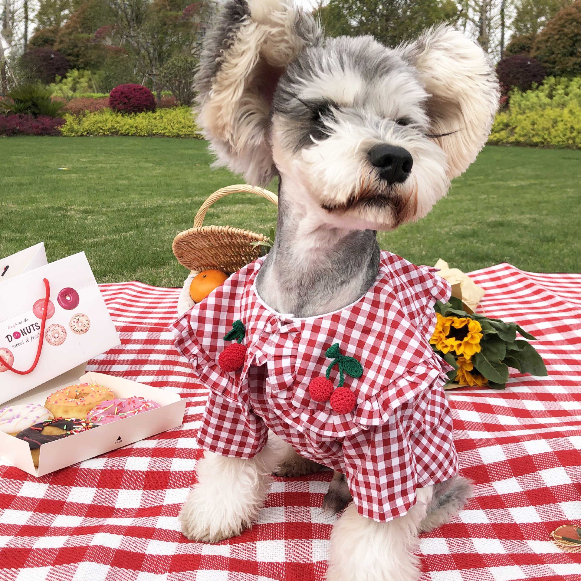 Katoen Plaid Shirt Pet Kleding Honden Beer Cartoon Dunne Shirt Rood Cherry Plaid Korte Mouwen Puppy Teddy Franse Bulldog schnauze