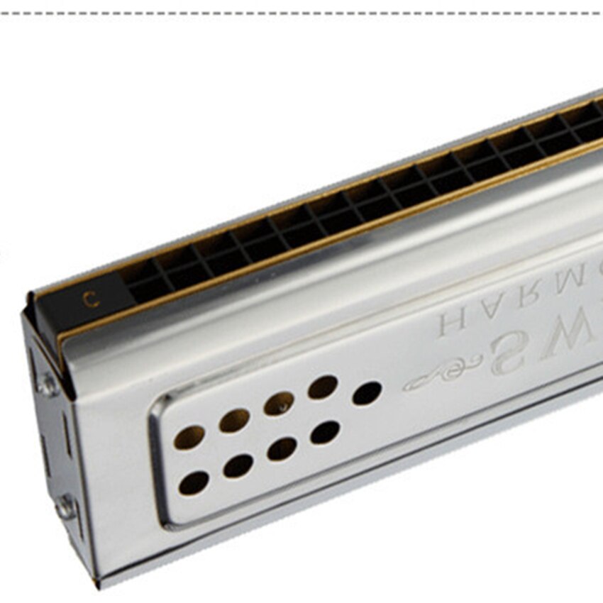 Swan Harmonica Double Tone 24 Double Holes Tremolo C & G Key Mouth Organ Wind Musical Instrument Kids & Adult