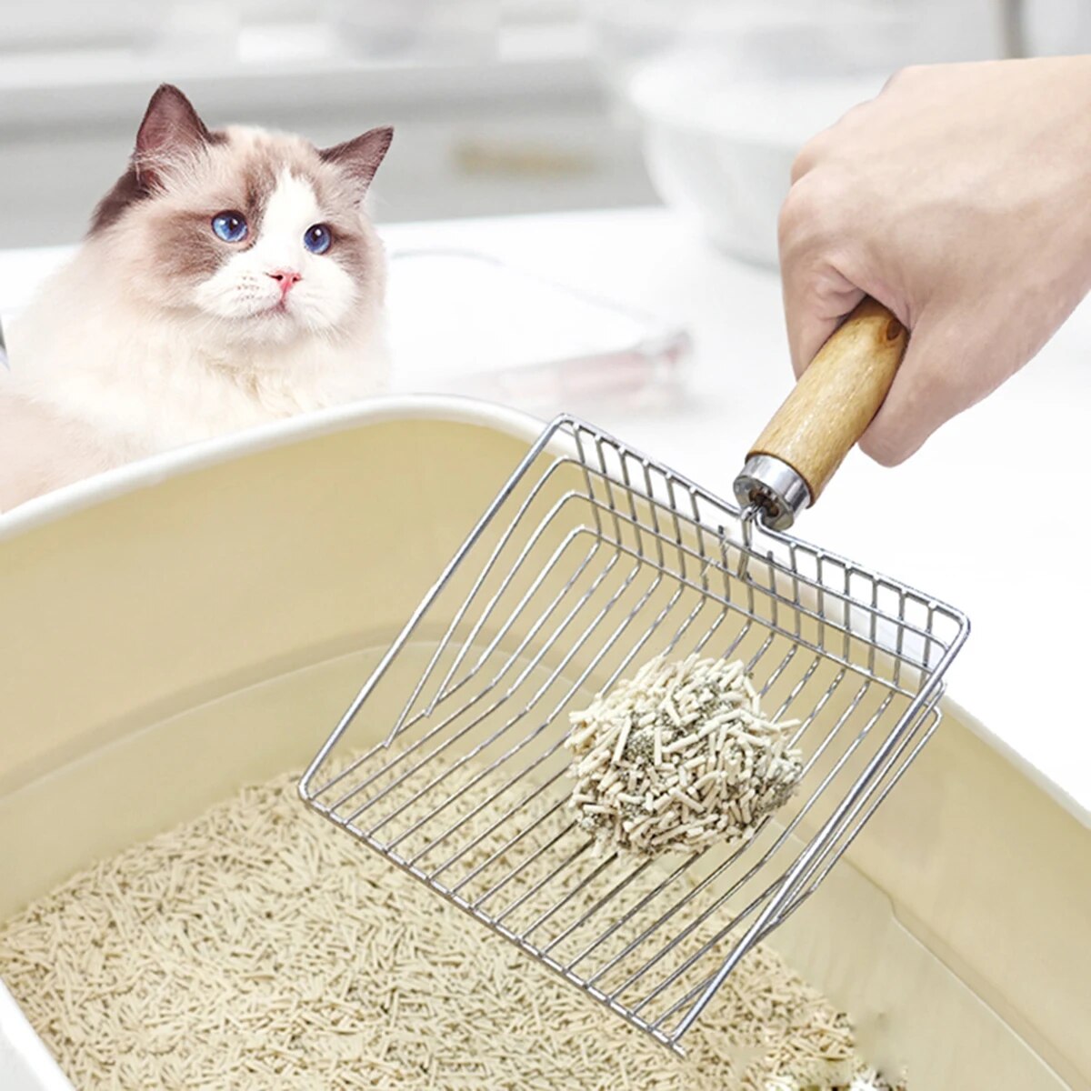 Kattsandsspade i rostfritt stål med trähandtag, lätt att rengöra, snygg, dammreducerande, lämplig för små hundtoaletter
