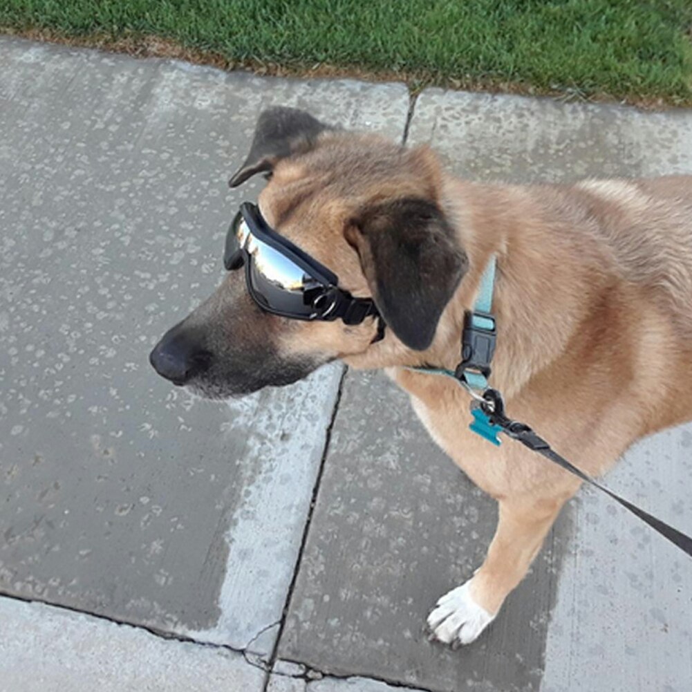 Dog Goggle Doggle Protective Eyewear Sunglasses Waterproof UV Wind Resistant Dog Sunglasses