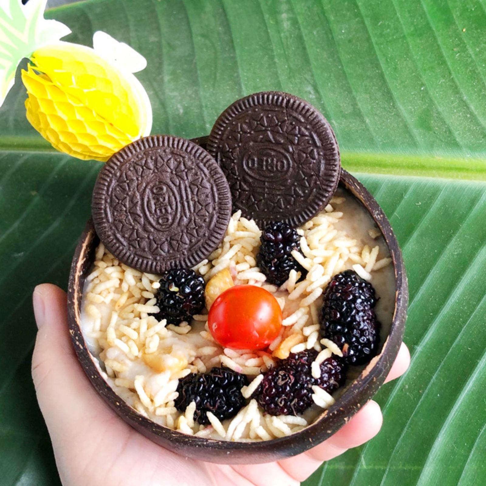Hand Made Natural Coconut Shell Bowl Cup Spoon Fruit Salad Noodle Bowl Manufactured Environmental Friendly Coconut Spoon