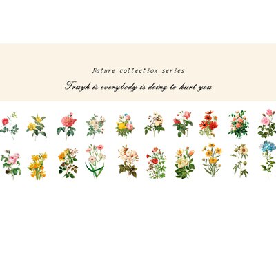 40 unids/bolsa de pegatinas de papel para decoración de plantas y flores naturales, pegatinas para decoración de álbumes de recortes: 03