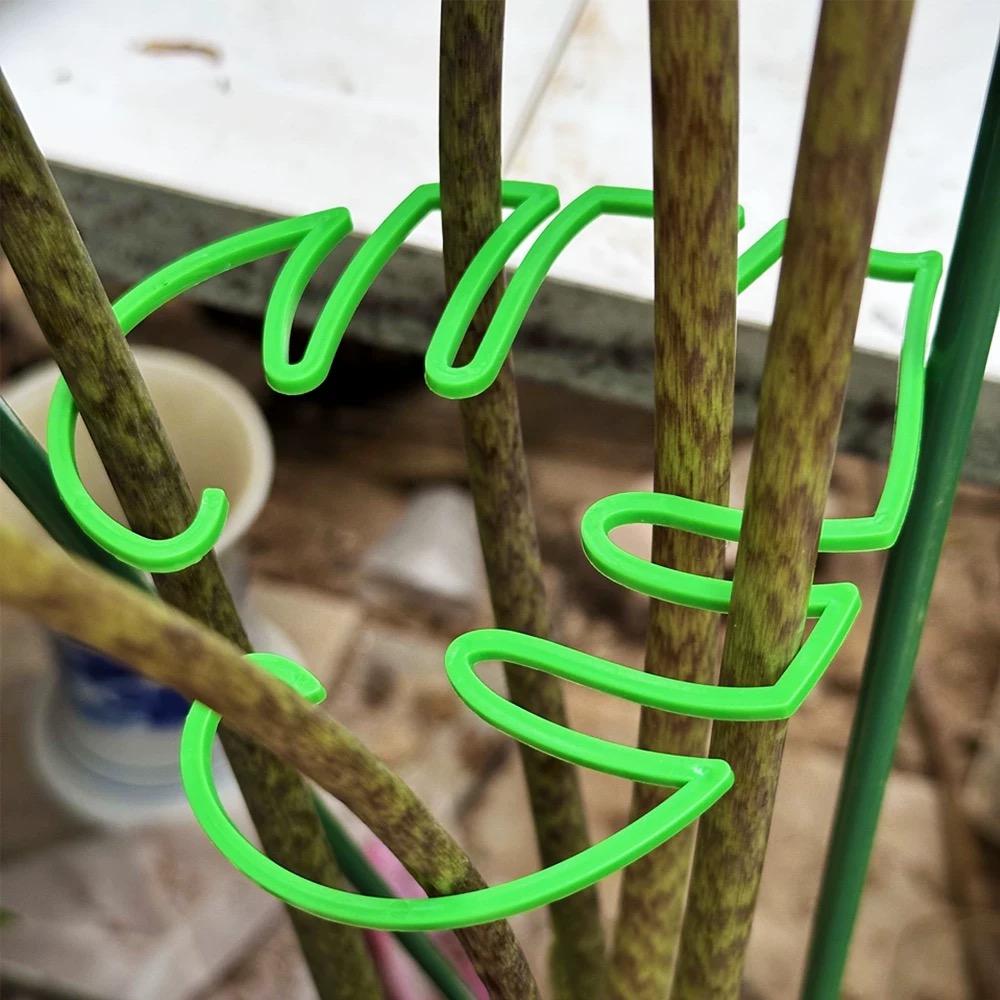 Estacas de soporte para tallo de planta de hoja, soporte para planta de interior trepadora, marco de plástico para jardín, sin estaca, enrejado, soporte para plantas de interior, aros