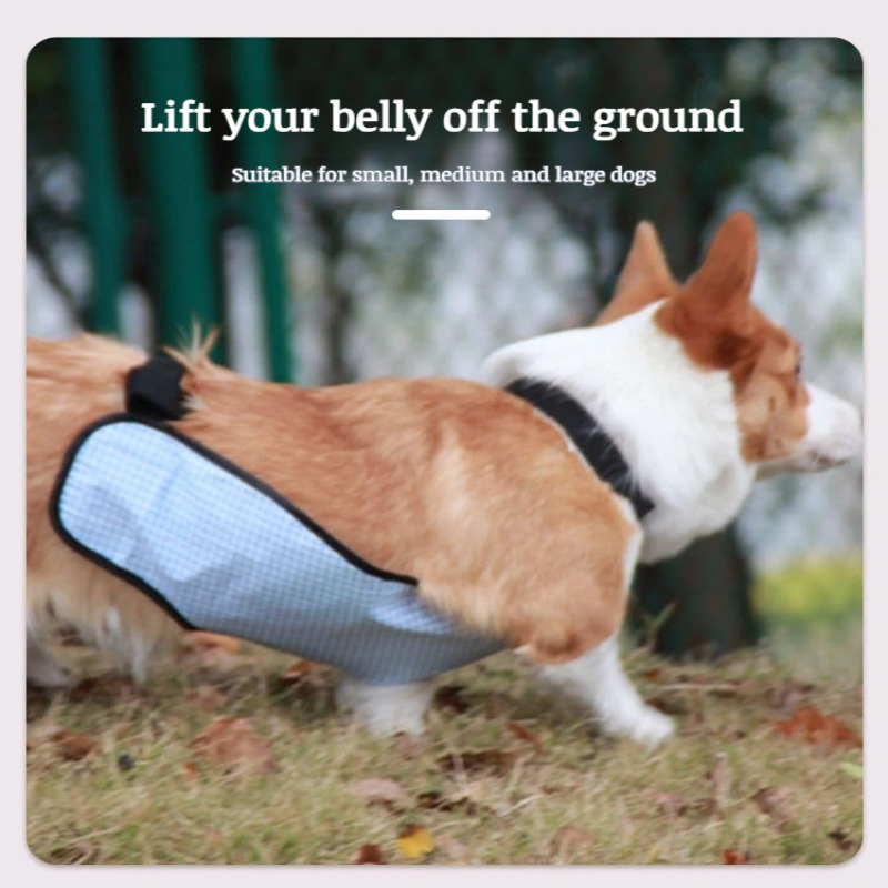 Couverture de ventre pour chien, tissu respirant, Anti-salissure, bandes de ventre imperméables, tissu lavable pour animaux de compagnie, tablier d'intérieur et d'extérieur pour chien, Costumes pour animaux de compagnie