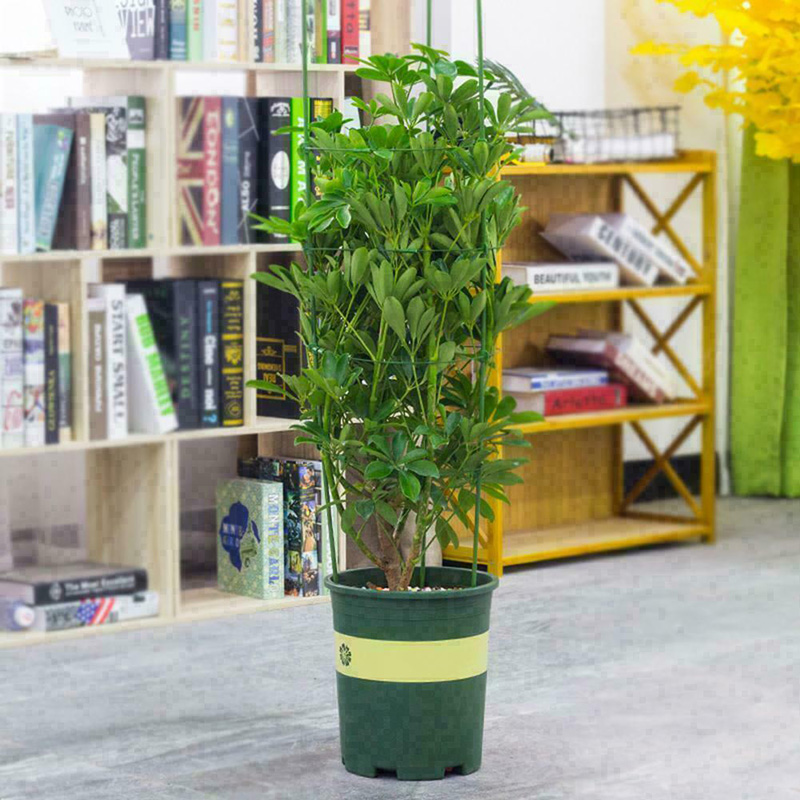 Klätterväxt stöd bur trädgård spaljé blommor stå ringar tomat stöd tålig klättring vinstock rack tomat bur