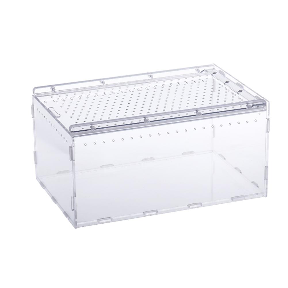 Acrylic Reptile Breeding Box Transparent Panoramic... – Grandado