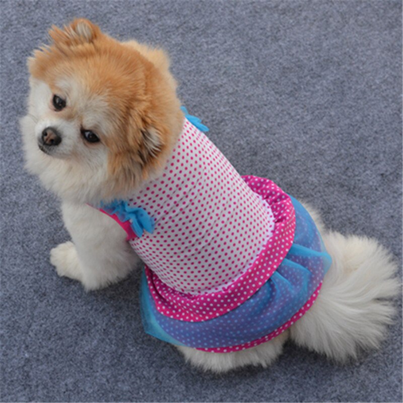 Shih tzu-robe pour chien à pois | Vêtements pour petits chiens, jupe Tutu pour chiot, robe pour chat, robes de mariage pour chiens, vêtements d'été pour caniches et animaux de compagnie