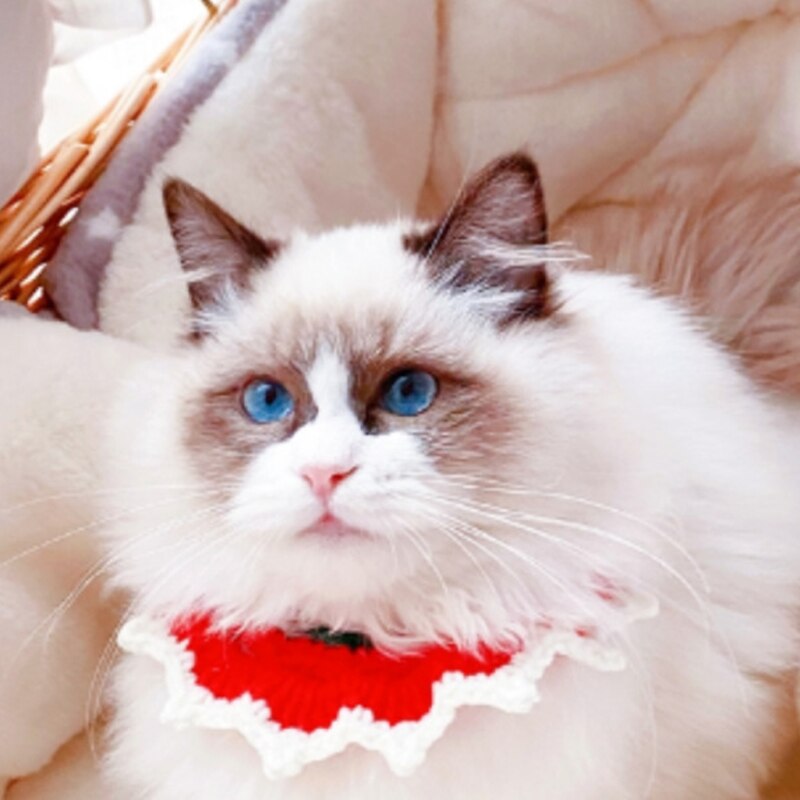 Écharpe de noël pour chien et chat, collier tricoté, rouge, vert, cloche, Bandana, Costume de noël pour chiot
