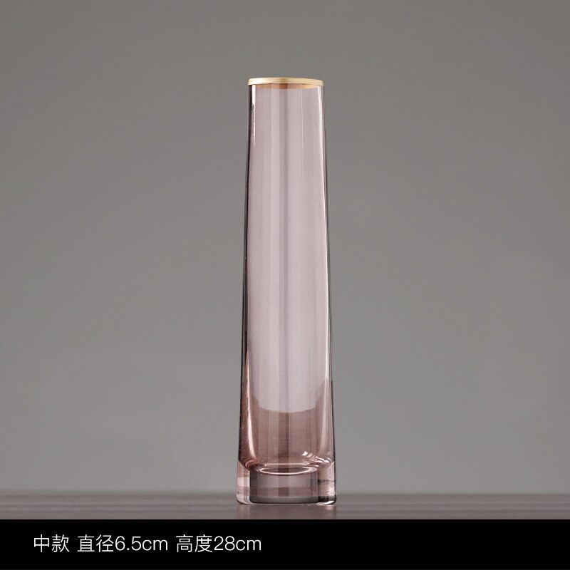 Jarrón de cristal embellecedor dorado, maceta de flor hidropónica gris, arreglo Floral, jarrones Rosa transparente, decoración del hogar, accesorios modernos: Pink 6.5cm x 28cm