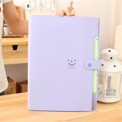 5 Into Plastic File Folders Package A4 Multi-layer Folder Business Multi-function Document Package PP File Bag office stationery: purple
